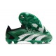 adidas Predator Accuracy.1 Low FG Verde Bianco