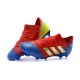 adidas Coppa del Mondo Messi Nemeziz 18.1 FG -