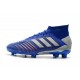 Scarpe da Calcio Adidas Predator 19.1 FG Blu Argento