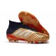 Scarpe da Calcio Adidas Predator 19.1 FG Oro Rosso Argento