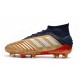 Scarpe da Calcio Adidas Predator 19.1 FG Oro Rosso Argento