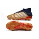 Scarpe da Calcio Adidas Predator 19.1 FG Oro Rosso Argento