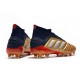 Scarpe da Calcio Adidas Predator 19.1 FG Oro Rosso Argento