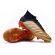 Scarpe da Calcio Adidas Predator 19.1 FG Oro Rosso Argento